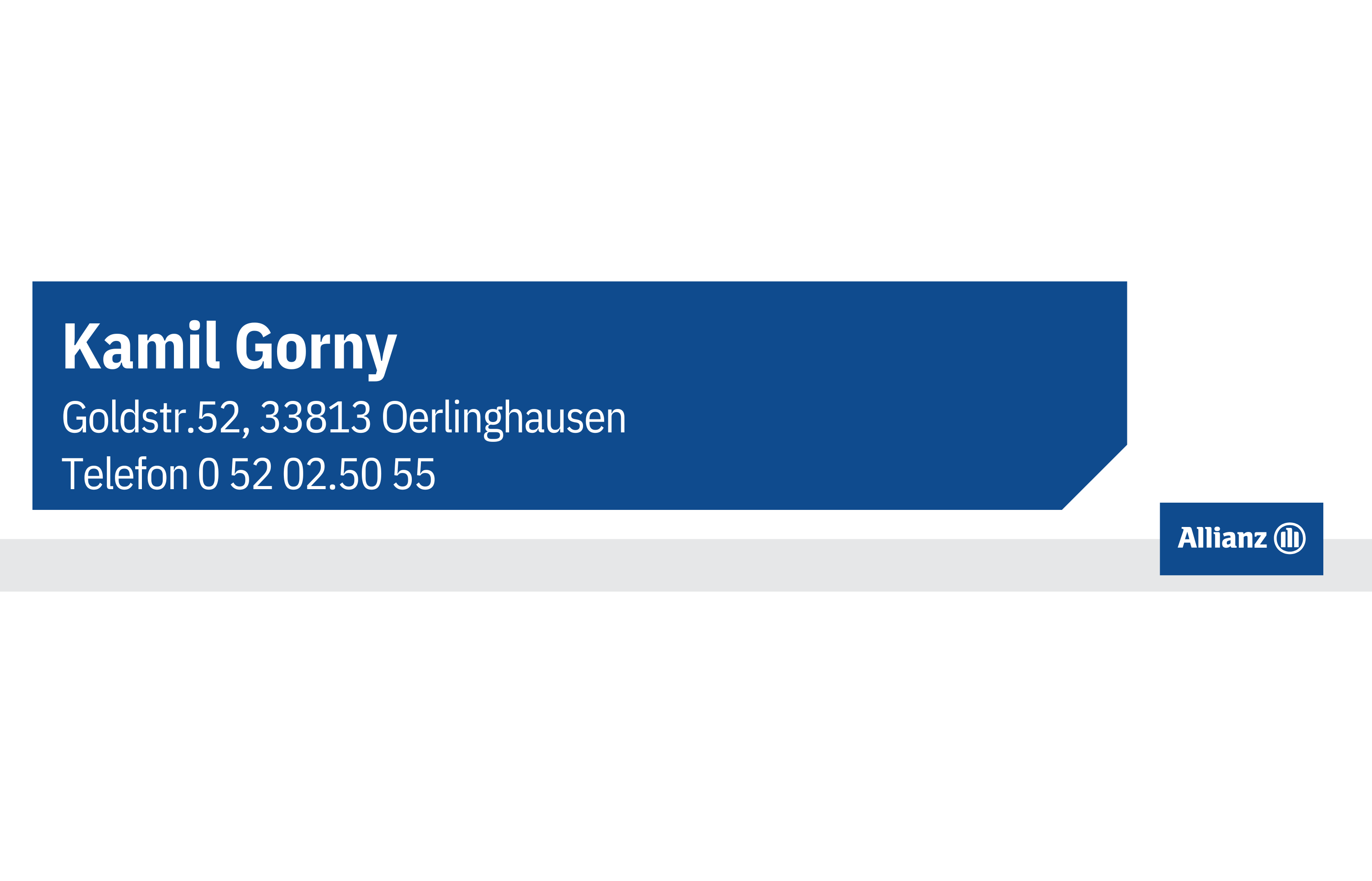 Allianz Kamil Gorny